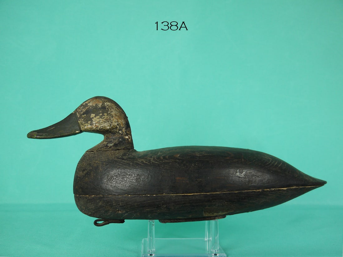 BLACK DUCK, C. HICKMAN (1 of 4)