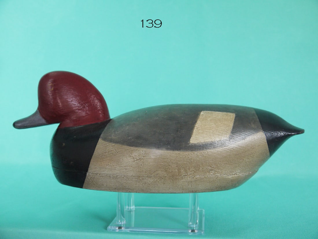 REDHEAD DRAKE, T. GASKIL (1 of 4)