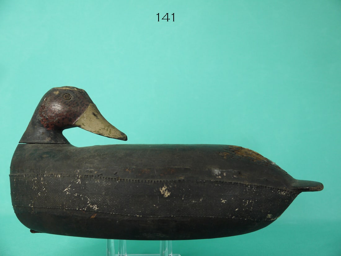 BLACK DUCK, NEW JERSEY (1 of 4)