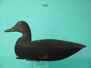 BLACK DUCK, NEW JERSEY