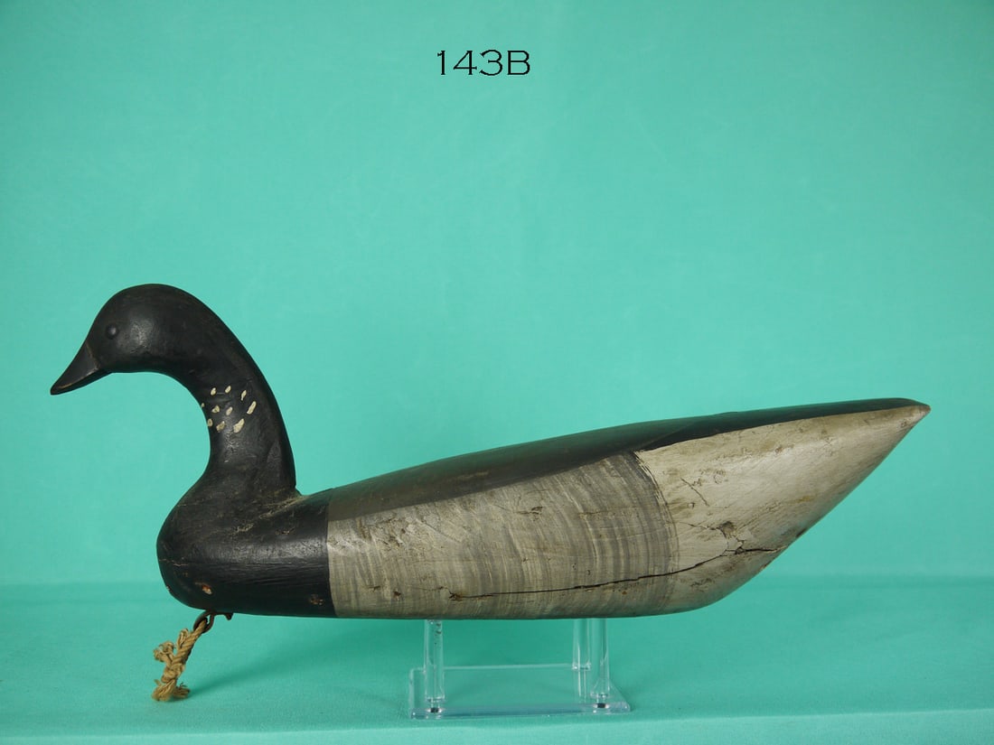 EARLY BRANT, NEW JERSEY (1 of 4)