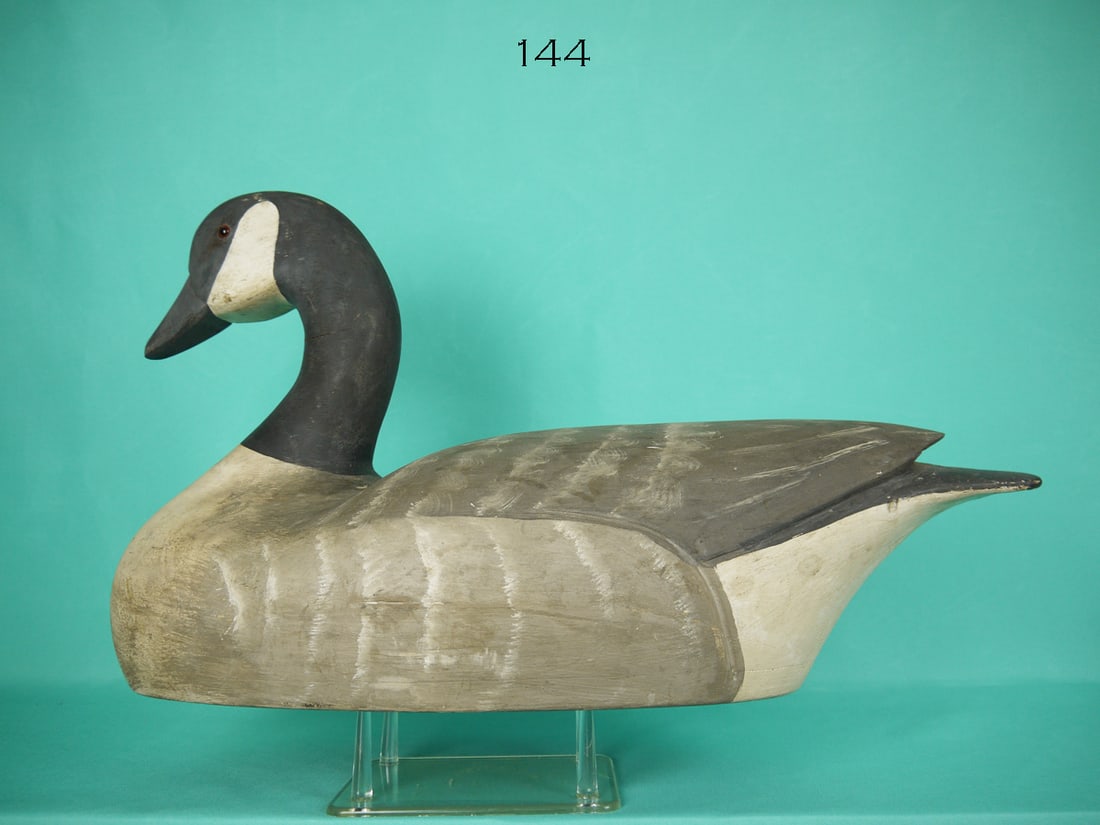 CANADA GOOSE, J. LIENER (1 of 4)