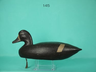 BLUEBILL HEN, E. ORTLEY