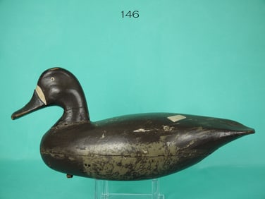 BLUEBILL HEN, L. ORTLEY