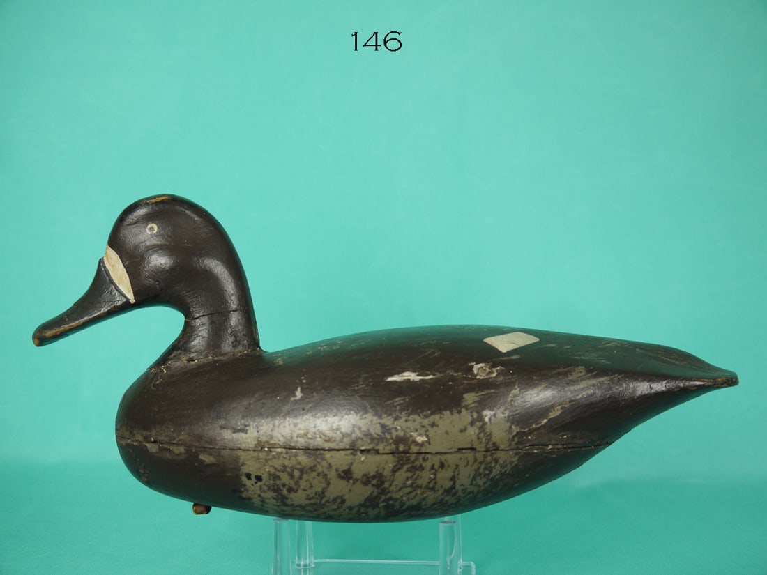 BLUEBILL HEN, L. ORTLEY (1 of 4)