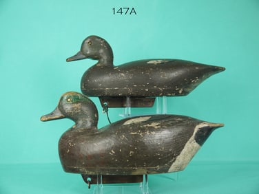 EARLY WIGEON PAIR, E. ORTLEY