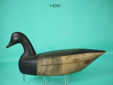 BRANT, BARNEGAT BAY, NJ