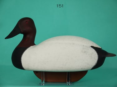 CANVASBACK DRAKE, W. SCHNOOR