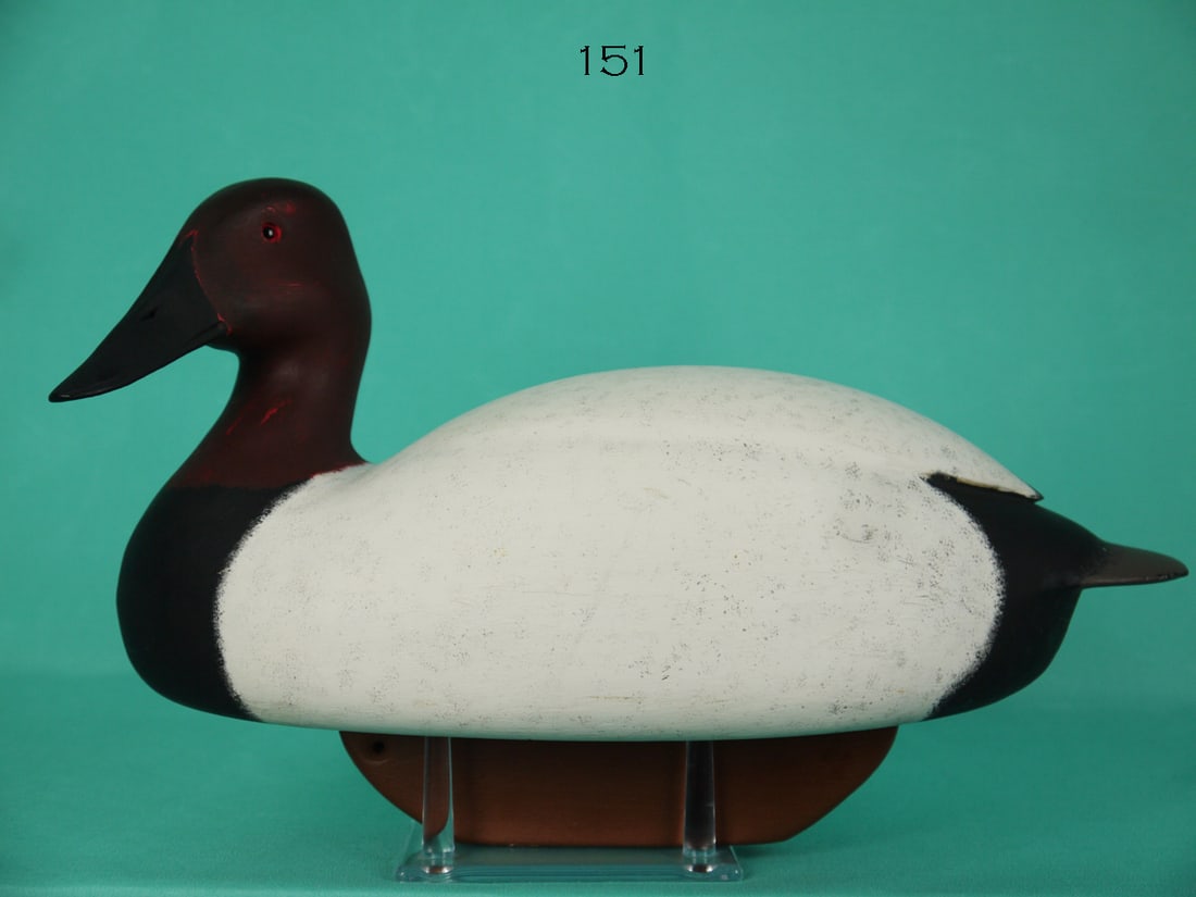 CANVASBACK DRAKE, W. SCHNOOR (1 of 4)