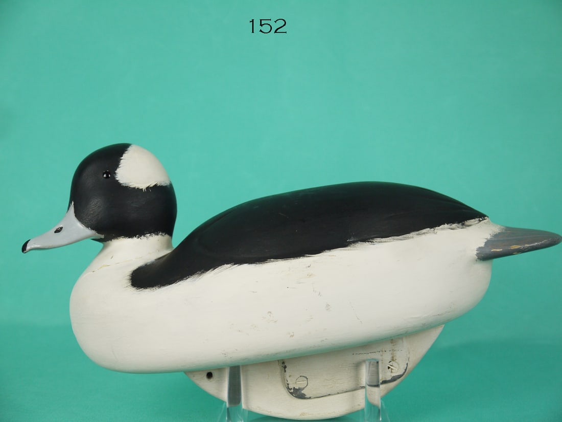 BUFFLEHEAD DRAKE, W. SCHNOOR (1 of 4)