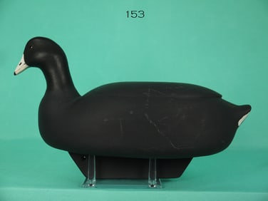 COOT, W. SCHNOOR
