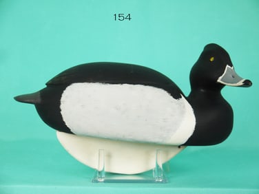 RINGBILL DRAKE, W. SCHNOOR