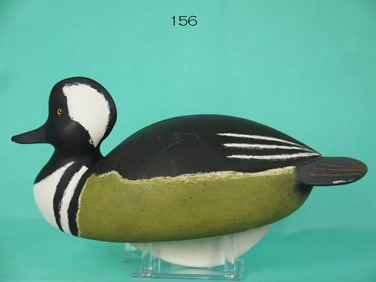 HOODED MERGANSER DRAKE, W. SCHNOOR