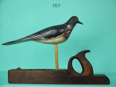 EARLY ENGLISH WOOD PIGEON