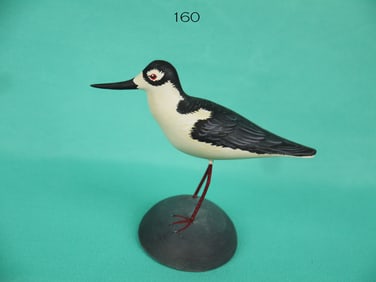 MINIATURE BLACK STILT, A. HILLMAN