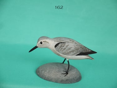 SANDERLING, A. HILLMAN
