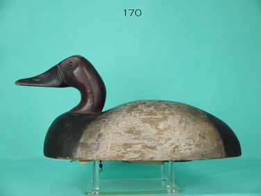 CANVASBACK DRAKE, F. CROOKS