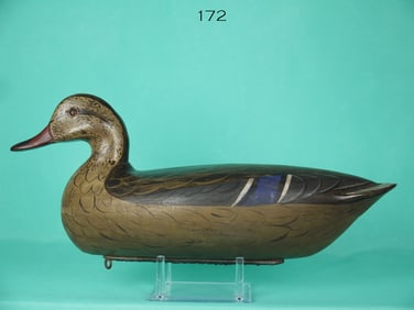 MALLARD HEN, C. MOORE