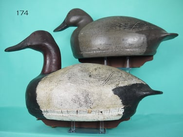 CANVASBACK PAIR, J. TEETER