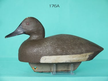 CANVASBACK HEN, MICHIGAN