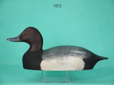 BLUEBILL DRAKE, T. MARTINDALE