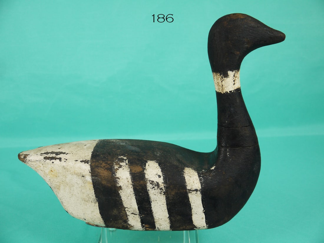 BRANT, WEST COAST (1 of 4)