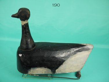 BRANT, HUMBOLDT BAY, CA