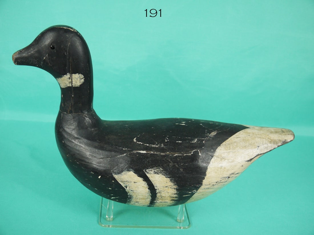 BRANT, HUMBOLDT BAY, CA (1 of 4)