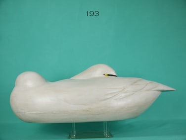 SLEEPING SWAN, E. WOZNY