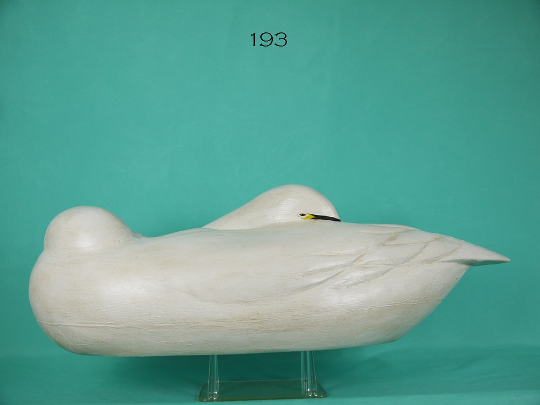 SLEEPING SWAN, E. WOZNY (1 of 4)