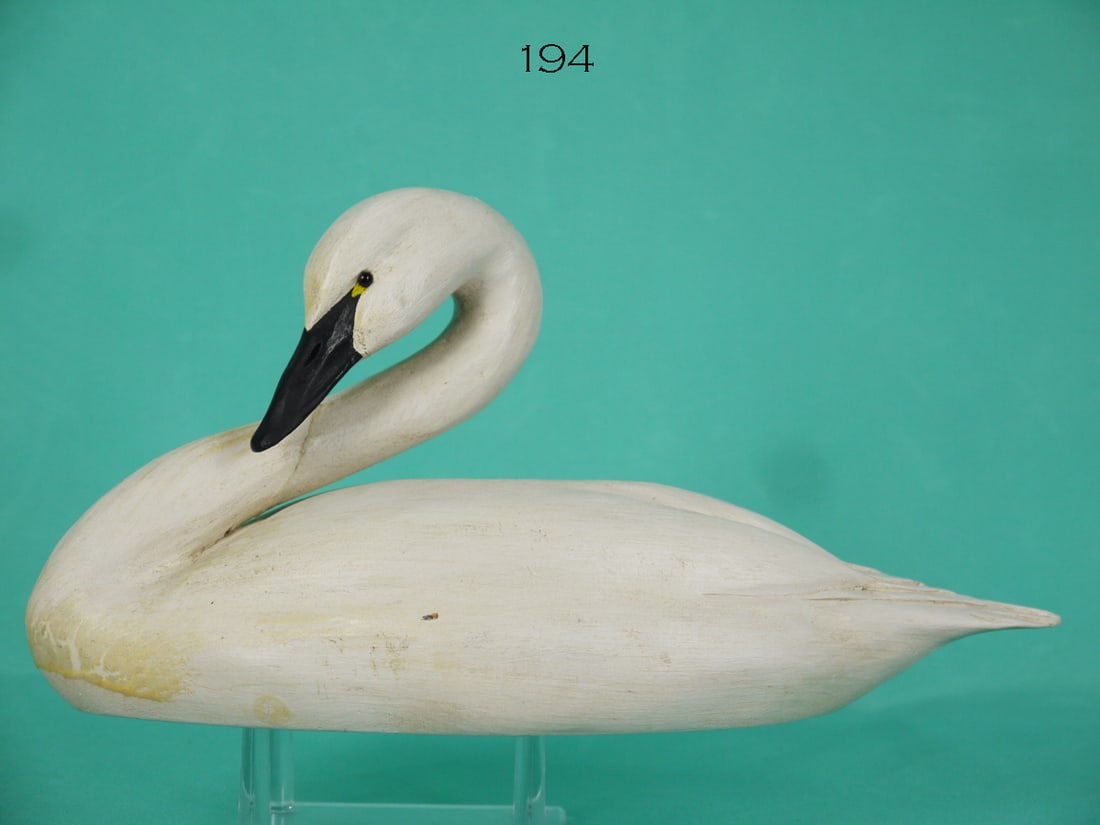 ONE-THIRD SIZE SWAN, E. WOZNY (1 of 4)