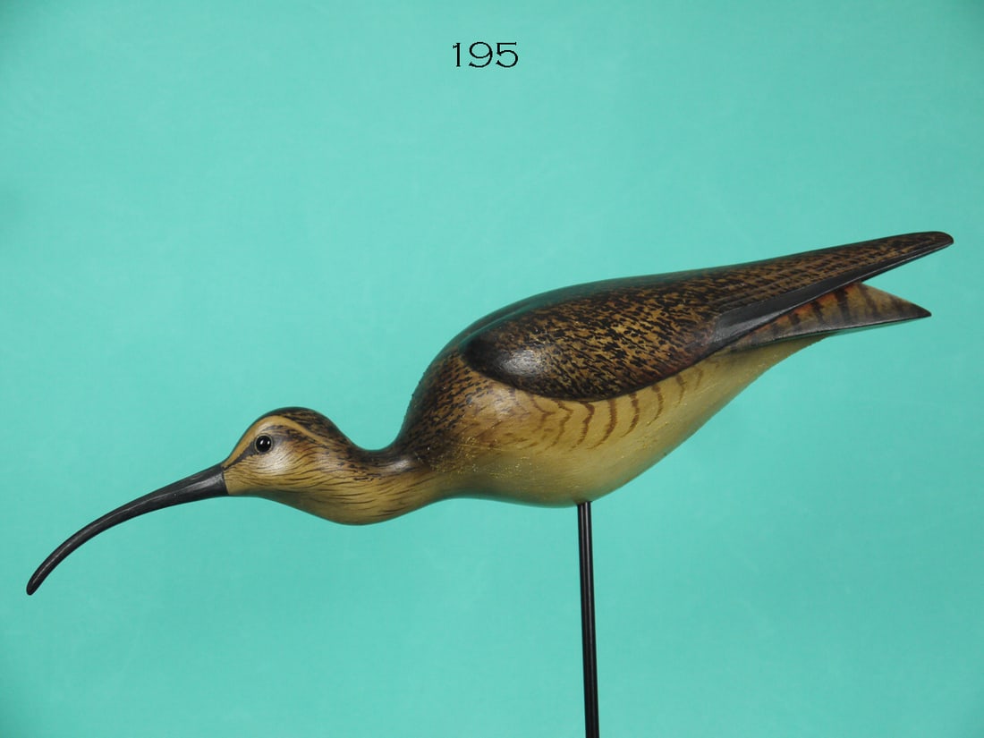 DOWITCHER, W. GIBIAN (1 of 4)