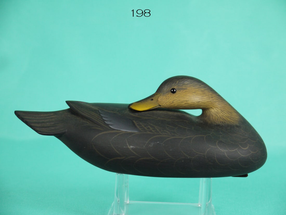 ONE-THIRD SIZE BLACK DUCK, G. STRUNK (1 of 4)