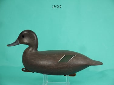 GREEN WING TEAL HEN, G. STRUNK