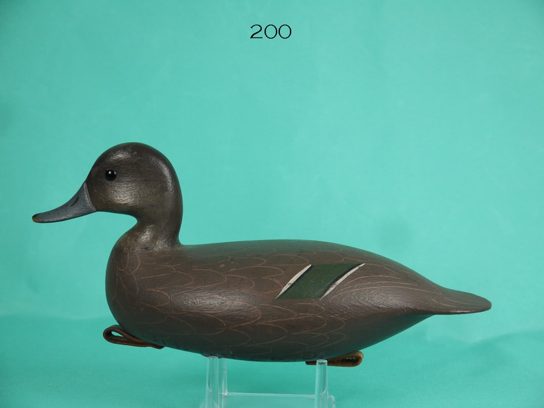 GREEN WING TEAL HEN, G. STRUNK (1 of 4)