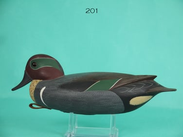 GREEN WING TEAL DRAKE, G. STRUNK