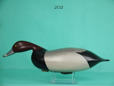 RED HEAD DRAKE, G. STRUNK