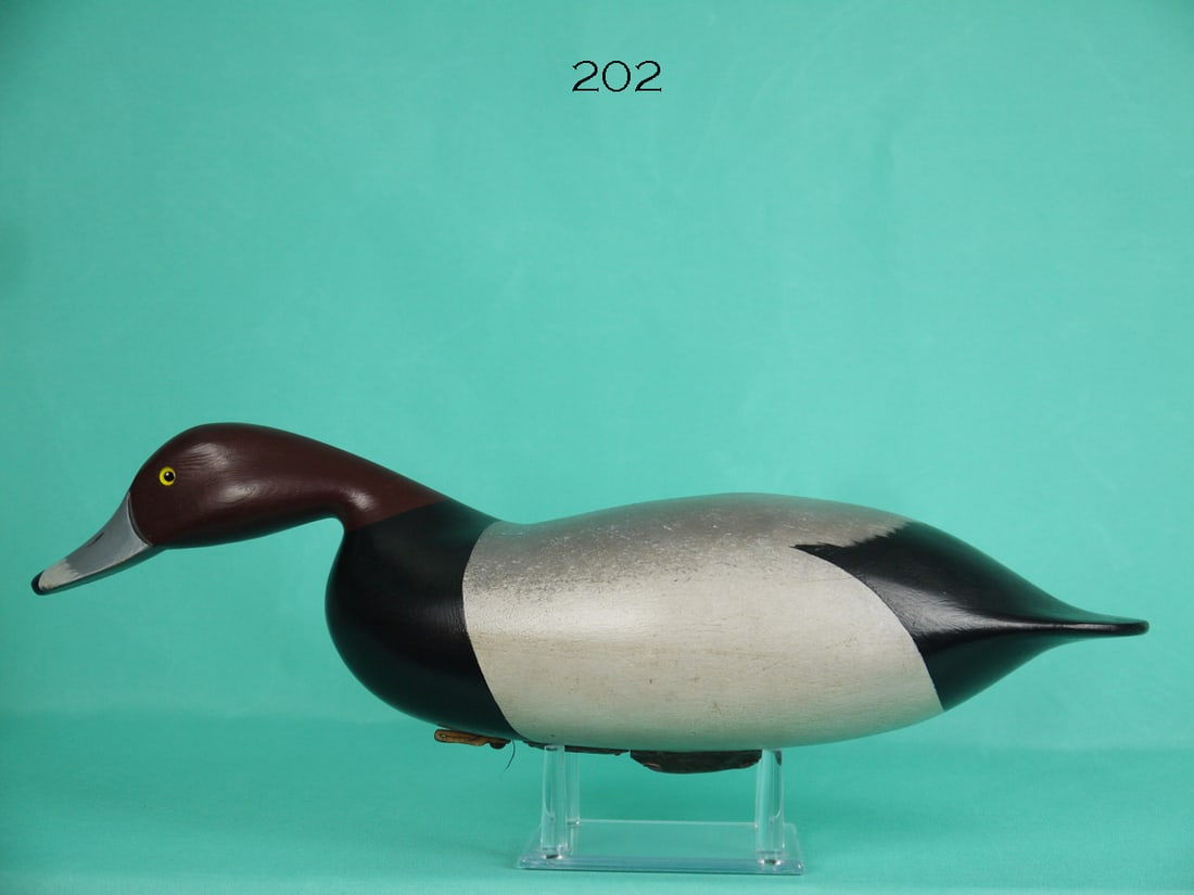 RED HEAD DRAKE, G. STRUNK (1 of 4)