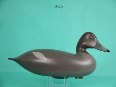 RED HEAD HEN, G. STRUNK