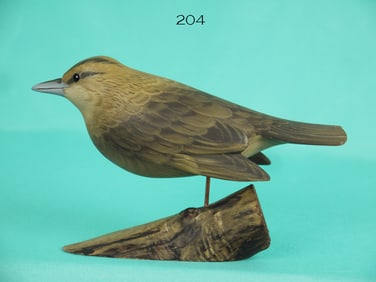 WARBLER, G. STRUNK