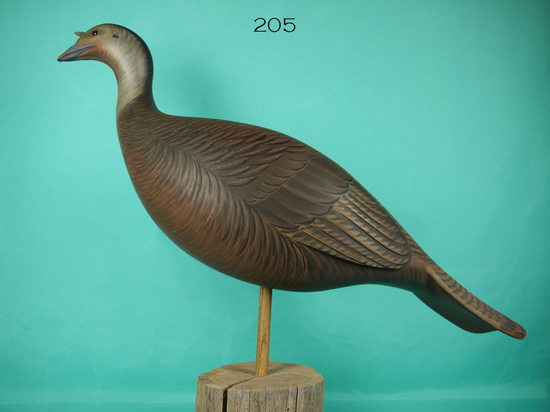 TURKEY HEN, G. STRUNK (1 of 4)