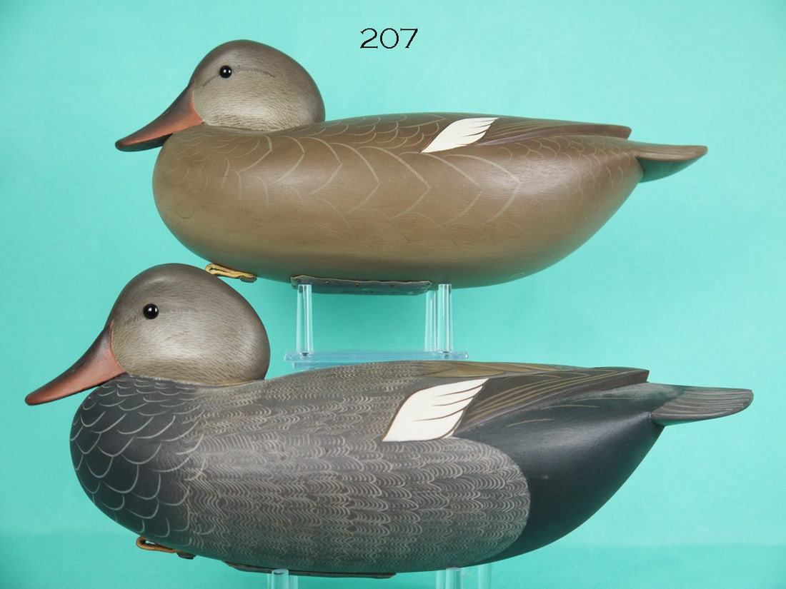 GADWALL PAIR, G. STRUNK (1 of 4)