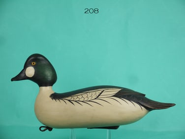 GOLDENEYE DRAKE, BOB WHITE