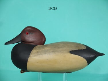 CANVASBACK DRAKE, B. WHITE