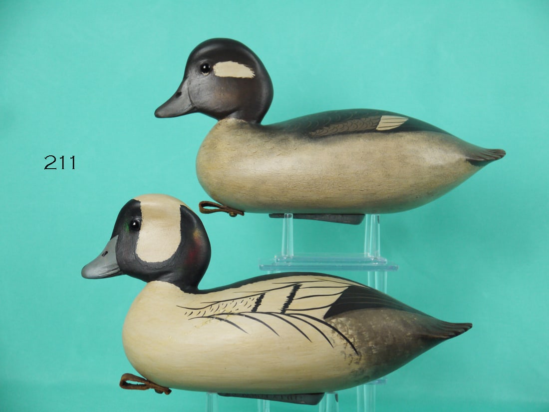 BUFFLEHEAD PAIR, B. WHITE (1 of 4)