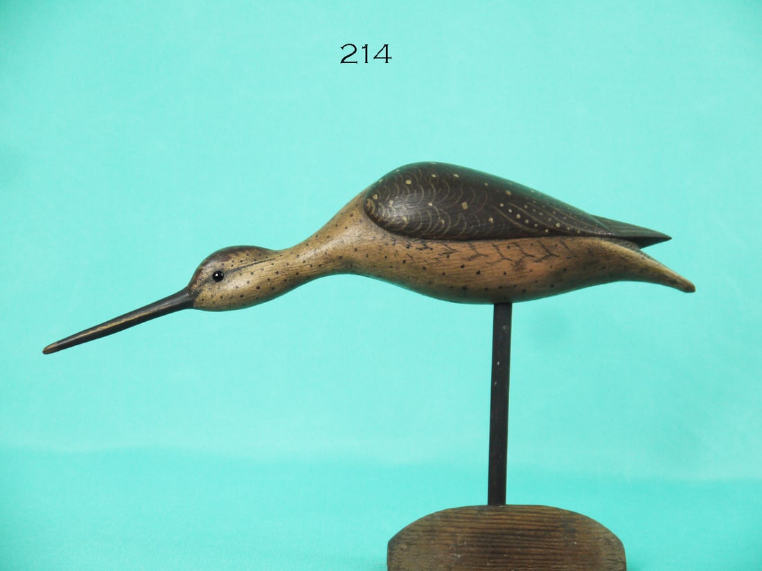 YELLOWLEGS, B. WHITE (1 of 4)