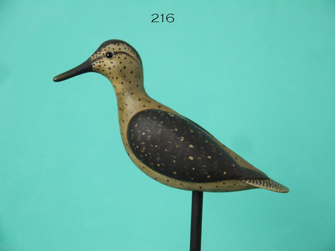 SANDERLING, B. WHITE (1 of 4)