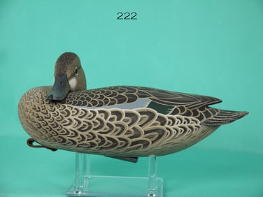 BLUE WING TEAL HEN, J. WOOD