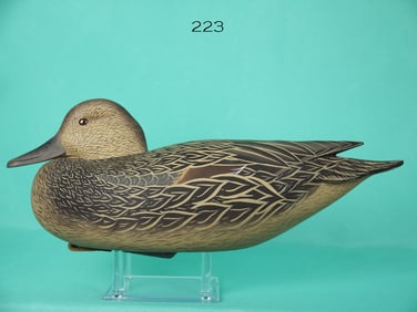 GADWALL HEN, J. WOOD