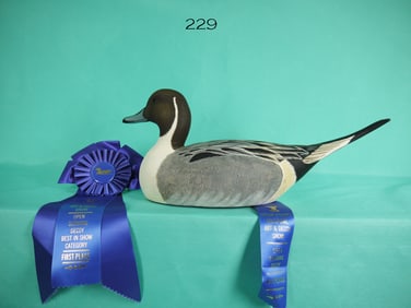 PINTAIL DRAKE, G. DOVIAK